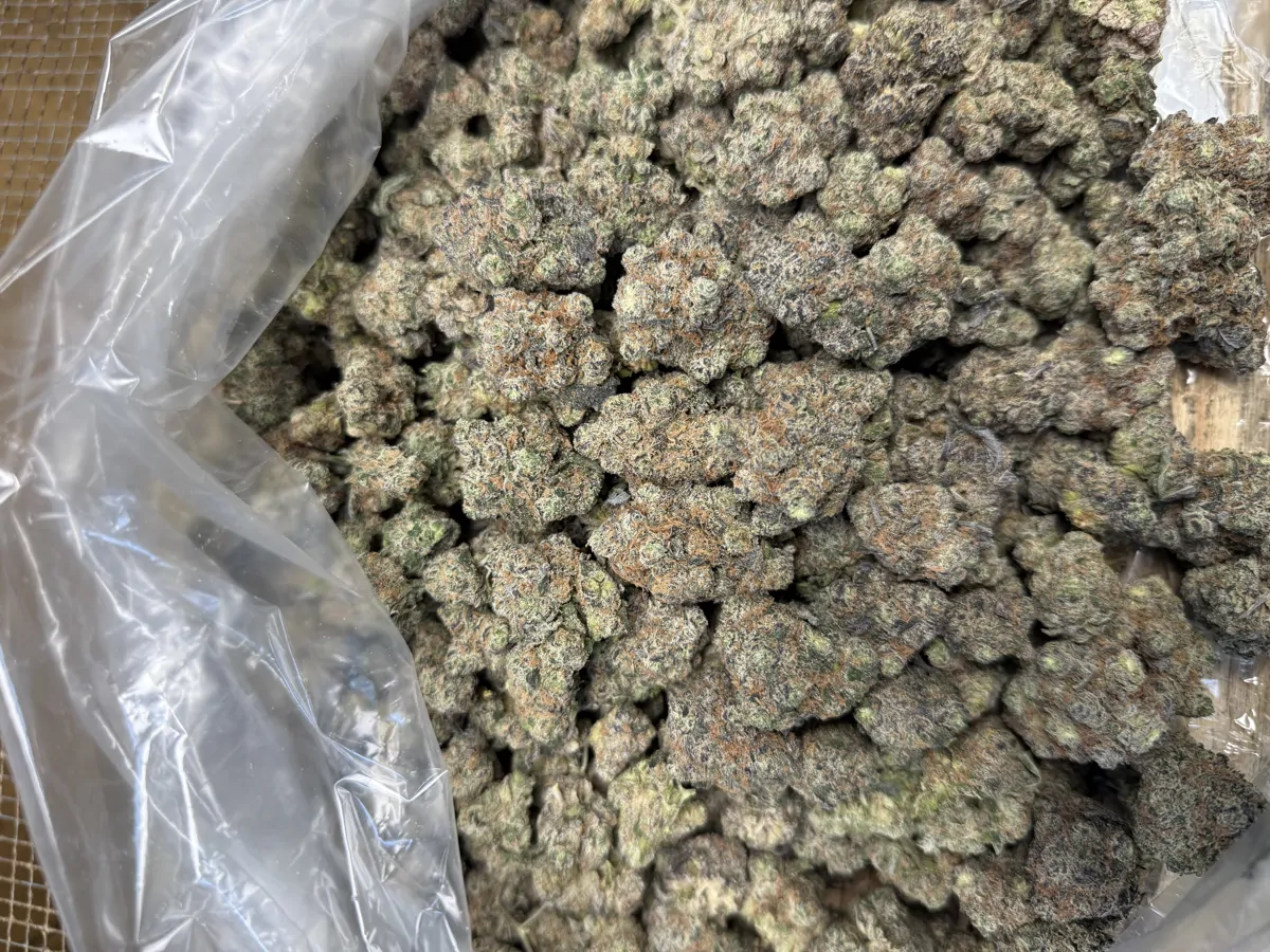Grape Gas Flower